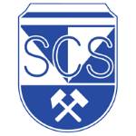 施瓦兹